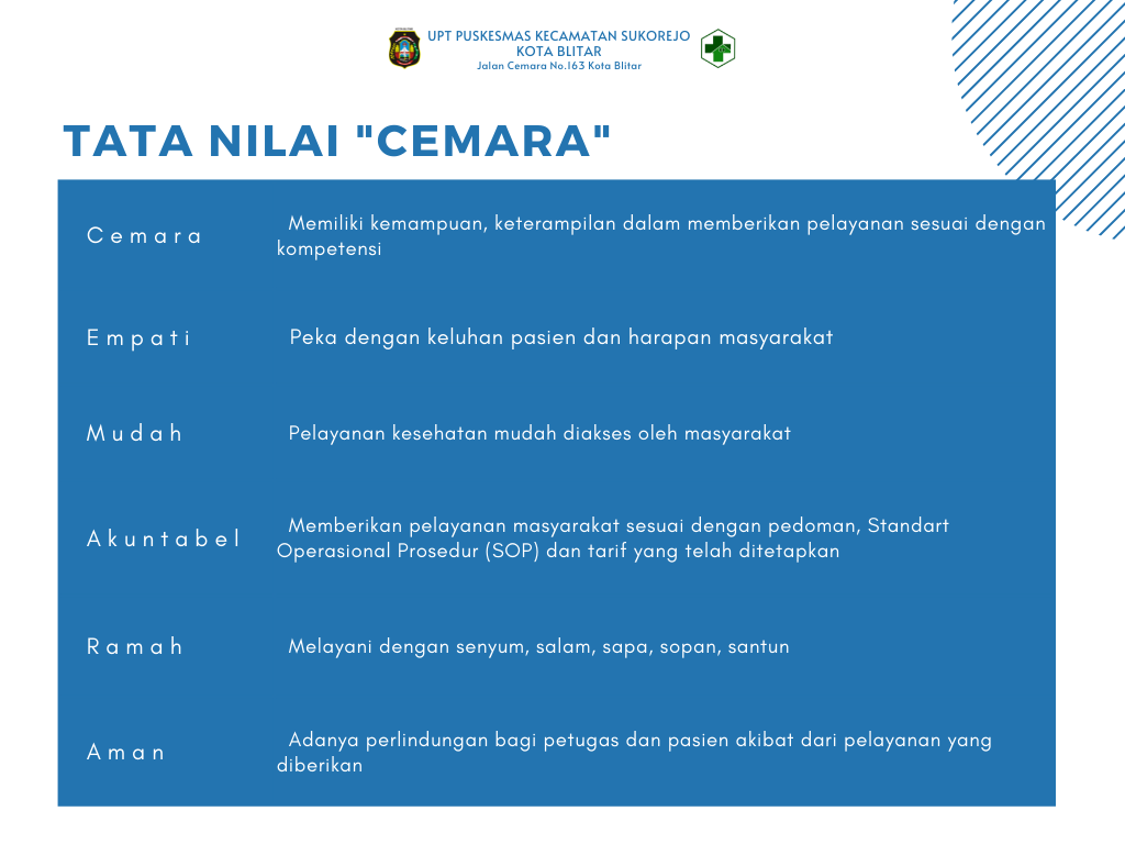 TATA NILAI CEMARA